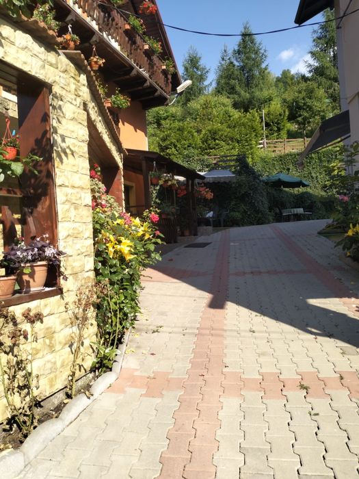 Cazare Moieciu de Jos/180 RON/noapte-7camere