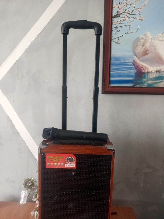 Продам колонку в виде чемоданчика