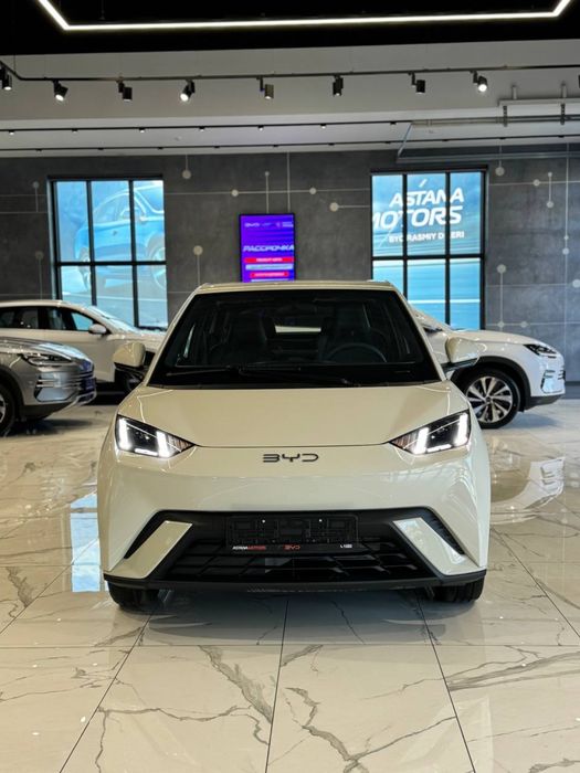 BYD SEAGULL 405 Km Flagship в наличии