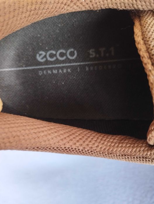 Ecco coretex номер 41.