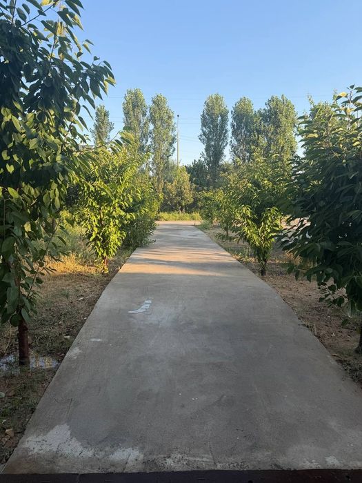 Olmazor tumani Bitonka yolni yuzida hovli sotiladi