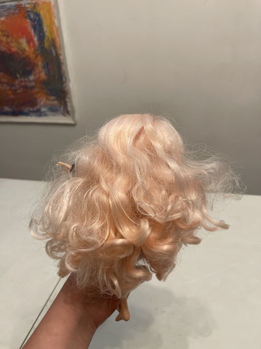 Papusa din gama raimbow high