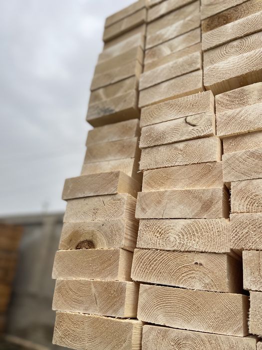 Taxta quruq | Sosna | El' | Reyka Optom