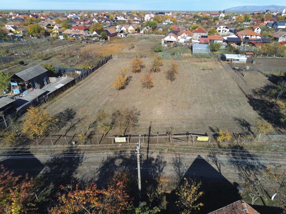 Teren intravilan 3000mp Loc. Sambateni Jud. Arad