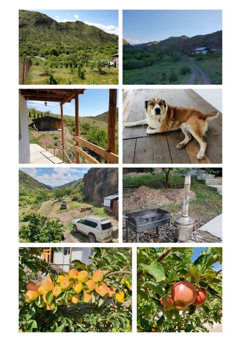 Мал шаруашылыгы...