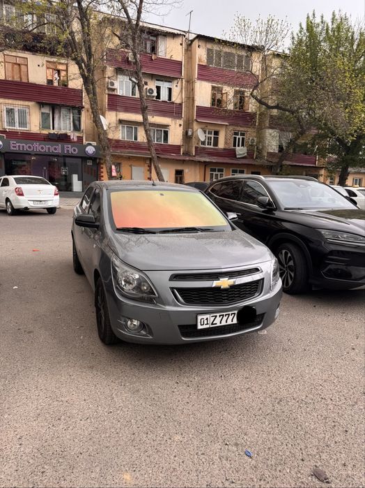 Cobalt Midnight MCM 2026