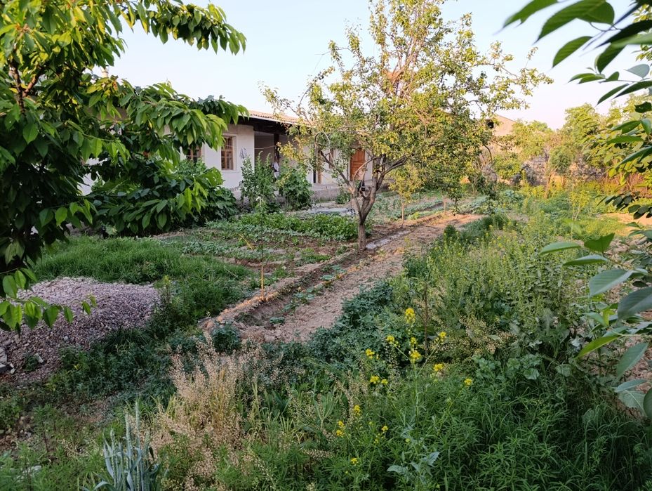 Жумабозор центрда Ховли сотилади