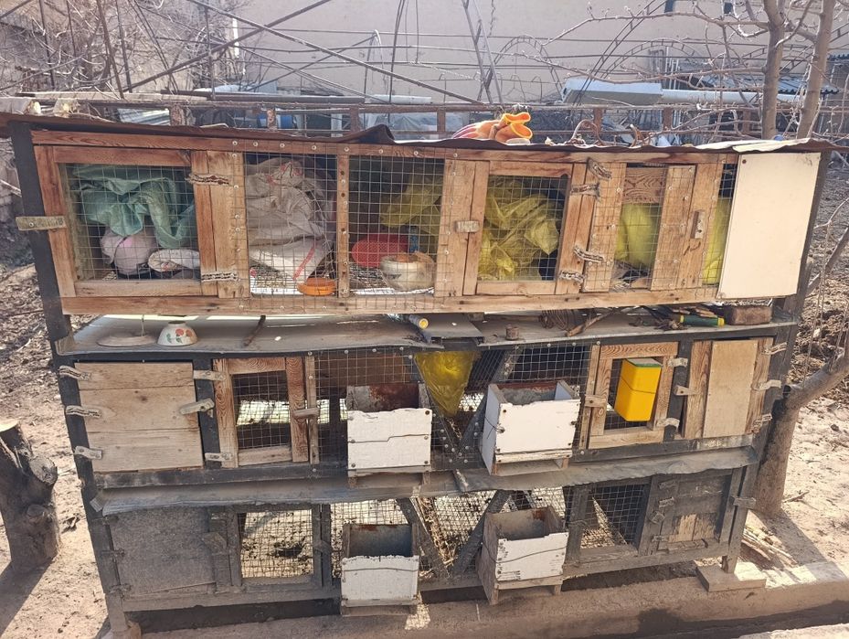 Куйонга ин 3 каватли