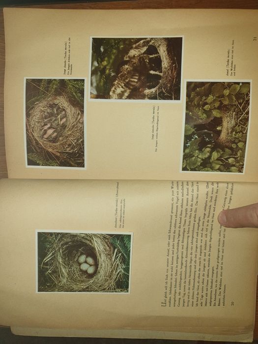 Helmut Handrick 1945 -cu camera foto prin  flora și fauna nativa