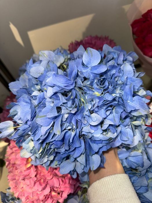 Продам цветы дешево!