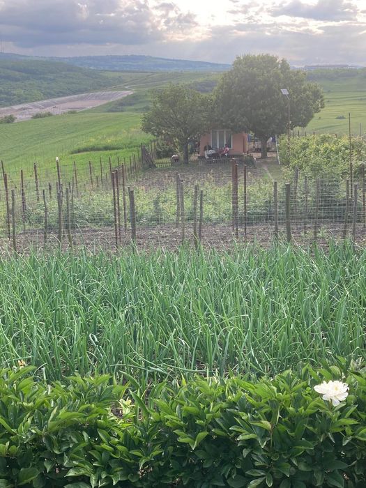 Teren de vanzare