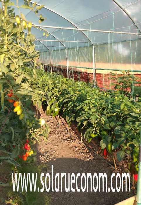 Solarii(sere) modulare din gama PREMIUM sau STANDARD