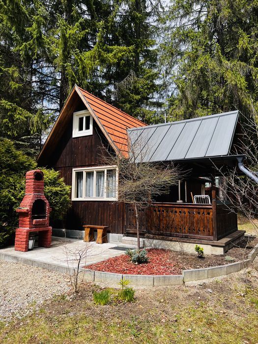 Cabana de inchiriat Izvorul Muresului