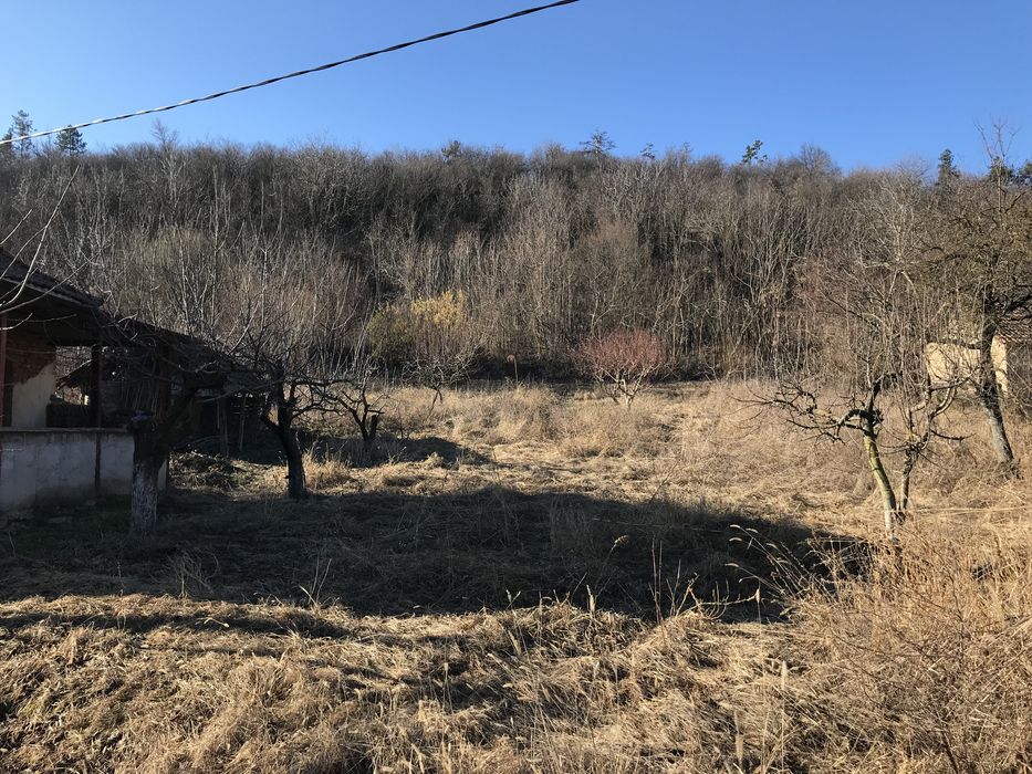 Косене на Трева Ниски Цени