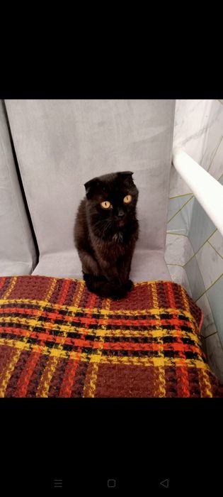 Одам добрые руки