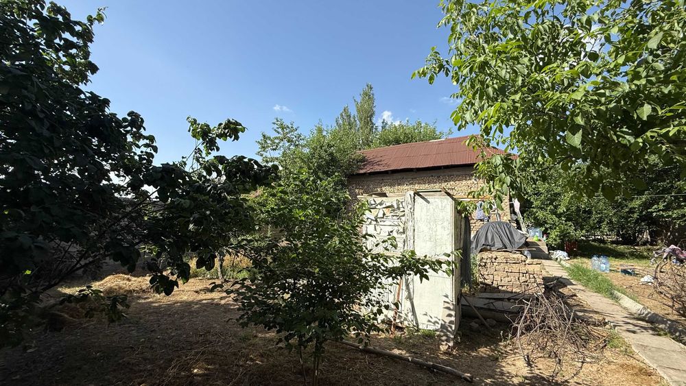 Срочно 6 сотих сотилади Тутзор. Янги тошми постдан кейн