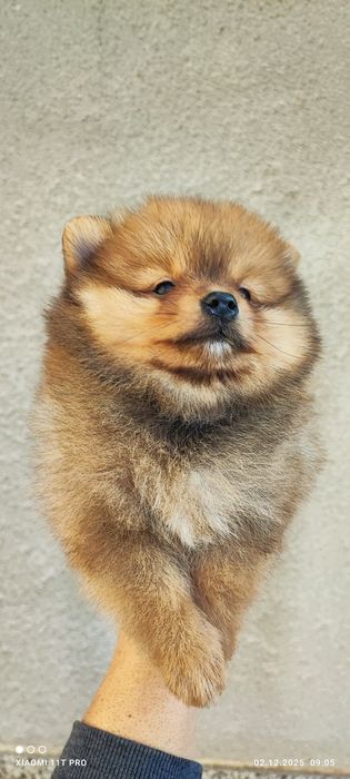 Момчета и момичета