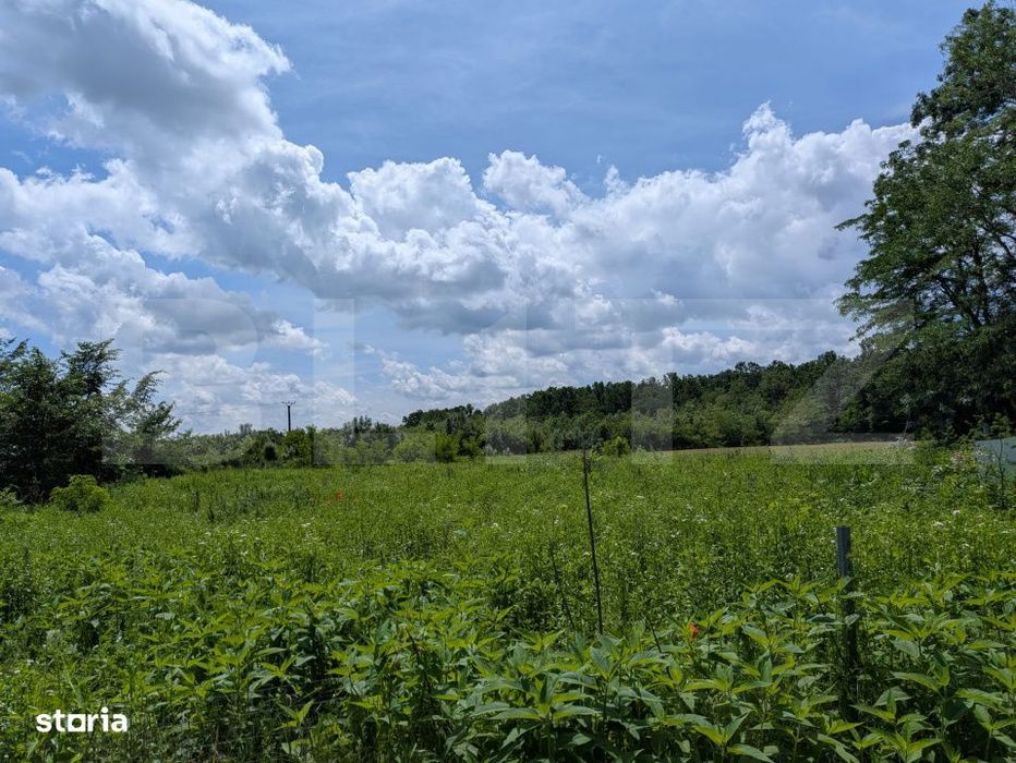 Teren extravilan, 12700 mp, oportunitate de investitie, zona Priseaca
