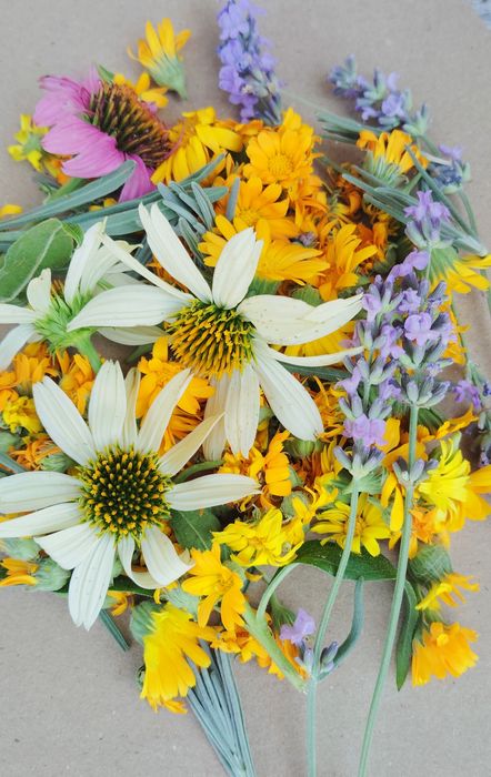 Билков мехлем с невен и лавандула