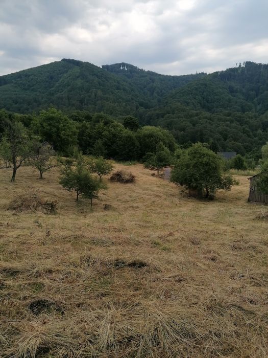 De vanzare teren intravilan 4500 mp,cu casa veche in Sovata