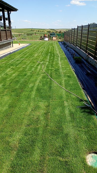 Amenajare si intretinere spatii verzi!!!