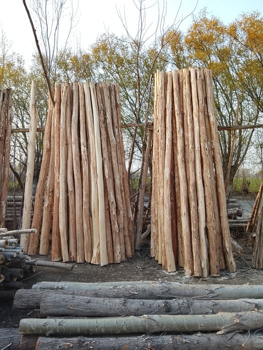 Teraklar sotiladi chiroyli sifatli ajoyib