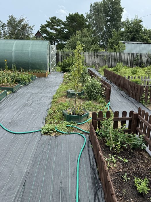 Продам дачу общество Вишенка / Гудок