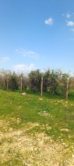 Сурум Куйчирчикский район земля 20 соток.