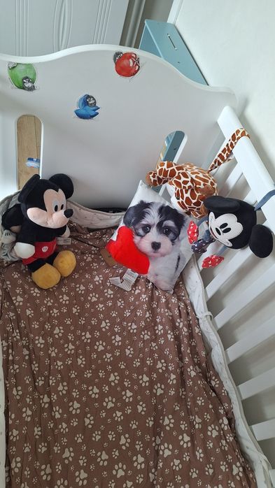 Бебешка кошара Arbor baby