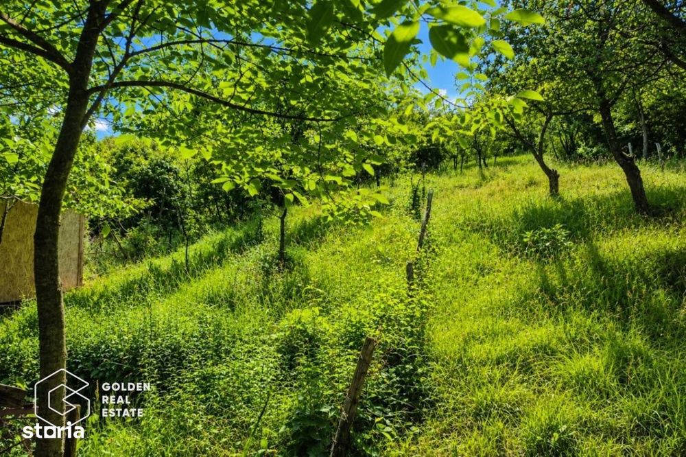 Teren intravilan, 1159 mp, localitatea Ghioroc
