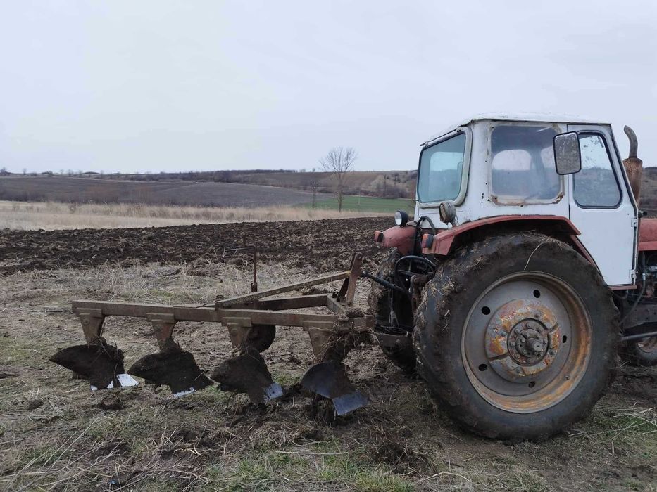 Създаване, поддържане и консултране на овощни градни област Шумен