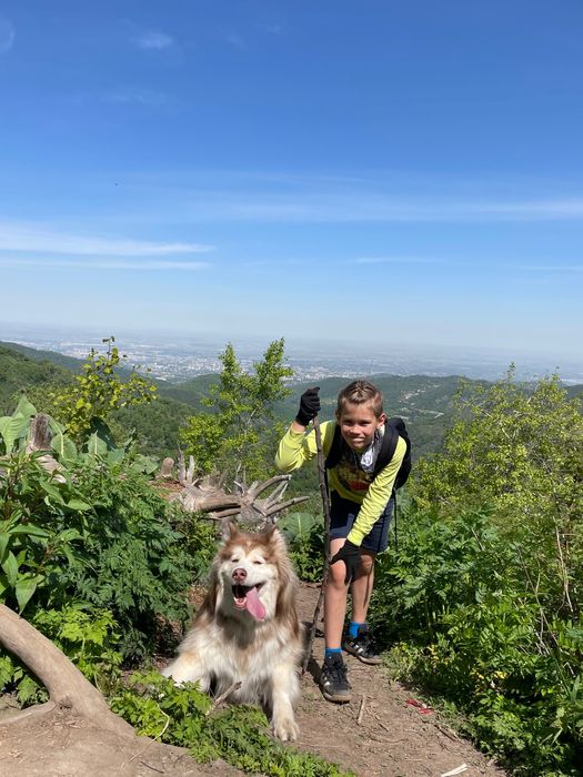 Фотосессия с маламутом