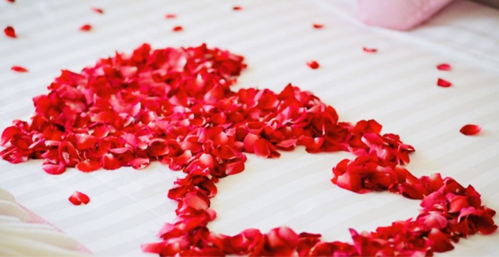 Живые лепестки роз