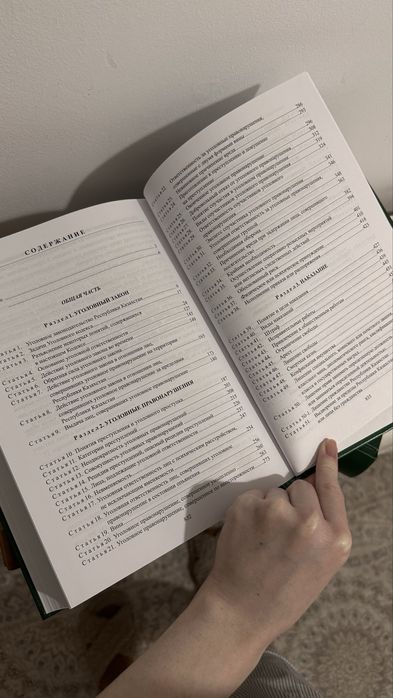 Комментарий к УК кодексу РК Борчашвили