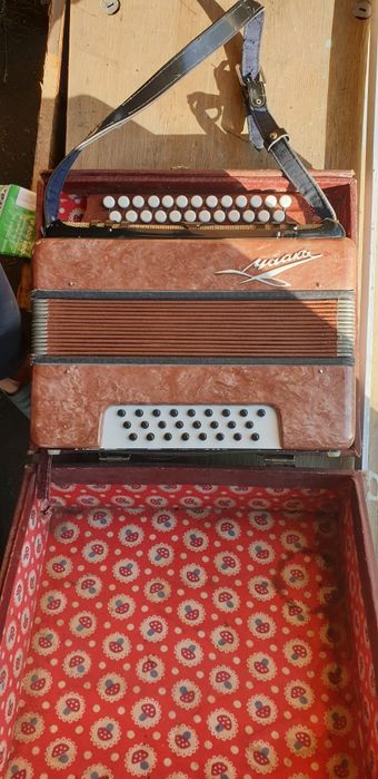 Гормошка "Чайка"