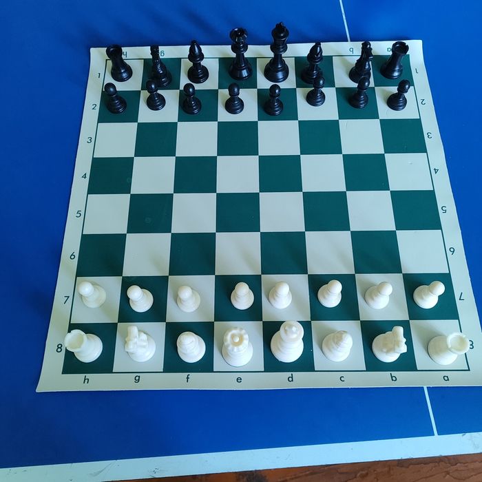 Продам шахматы +теннисный стол