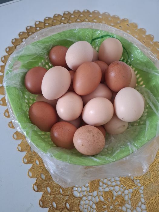 Жұмыртқа сатылады.