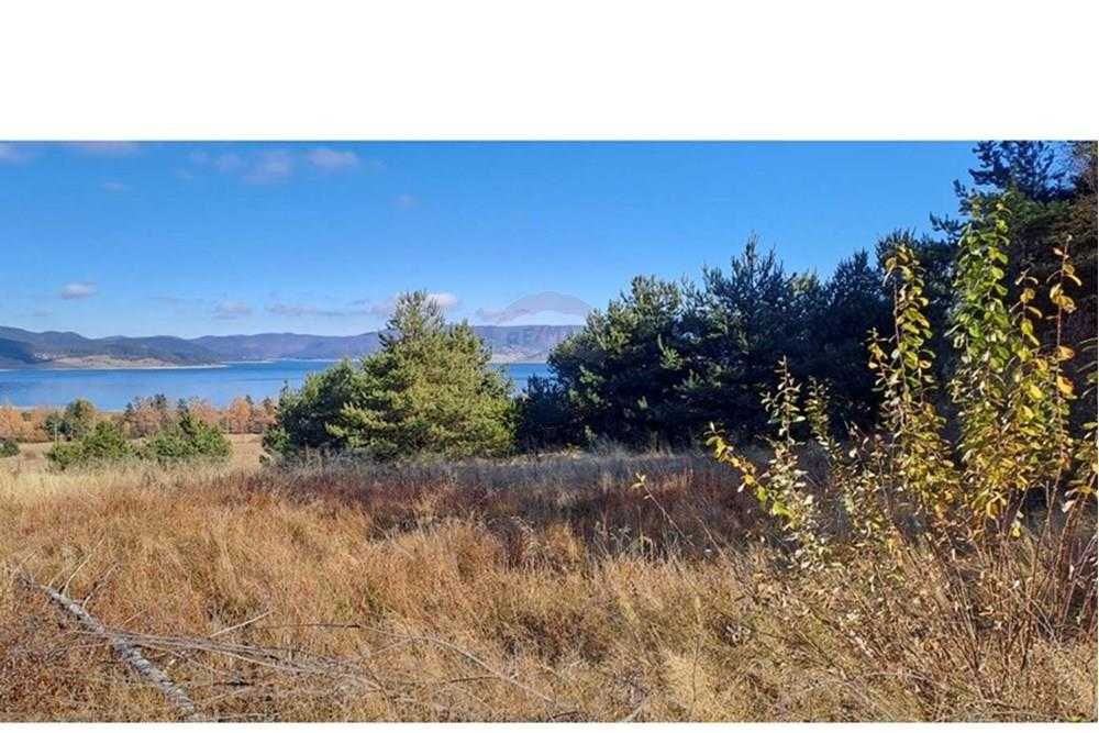 Продава се Парцел в Батак - 9309 кв.м за 2296 €/кв.м - Снимка #8