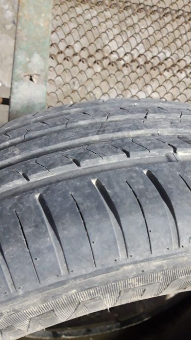 Жазғы балондар сатылымда