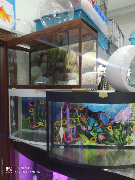 Akvaryum avalniy New Mirobod  tumanida
