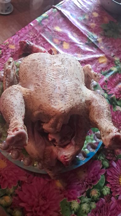 Тушки домашнего Бройлера