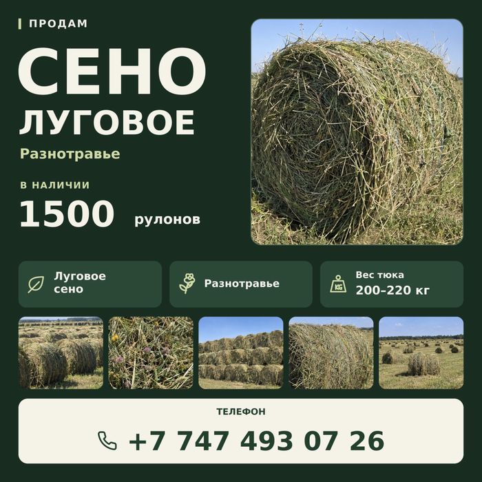 Продам луговое сено