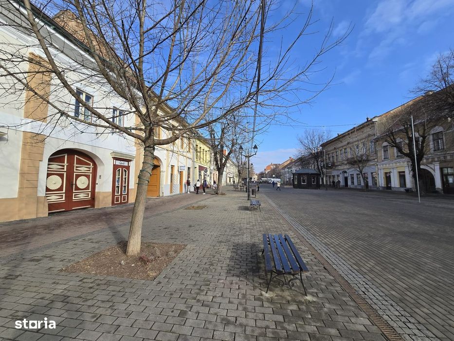 Spațiu comercial de închiriat – Ultracentral Bistrița