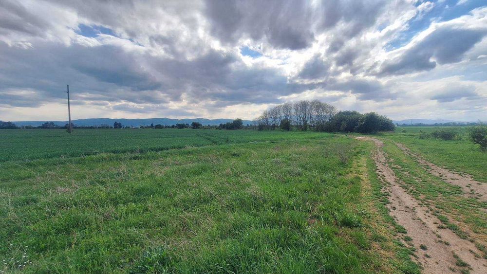 Продава се Парцел в с. Мусачево, Област София-област - 18185 кв.м за 13 €/кв.м - Снимка #2