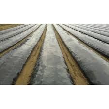 Folie Mulcire Neperf 0,9x 1.500m=374 lei/rola,15 microni, Aditivata UV