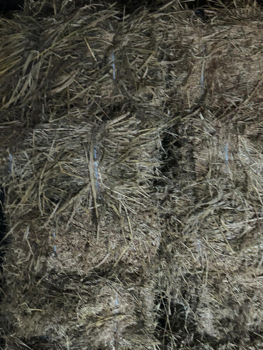 Baloți de lucerna de vanzare