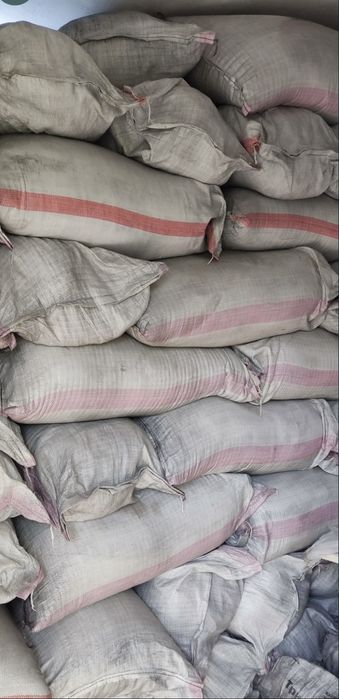 Джеа сорт люцерны