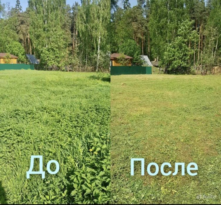 Покос травы с вашего участка .