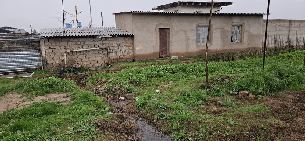 теплица 3 гектар жой ижарага берилади