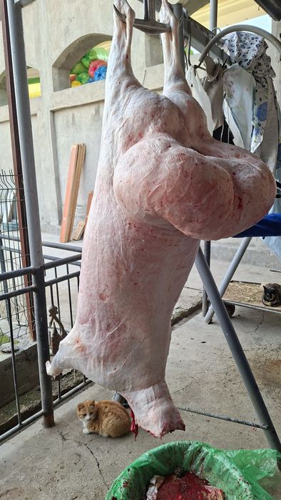 Qassob service    Qassobchilik xizmati  Halollik foydadan ustun